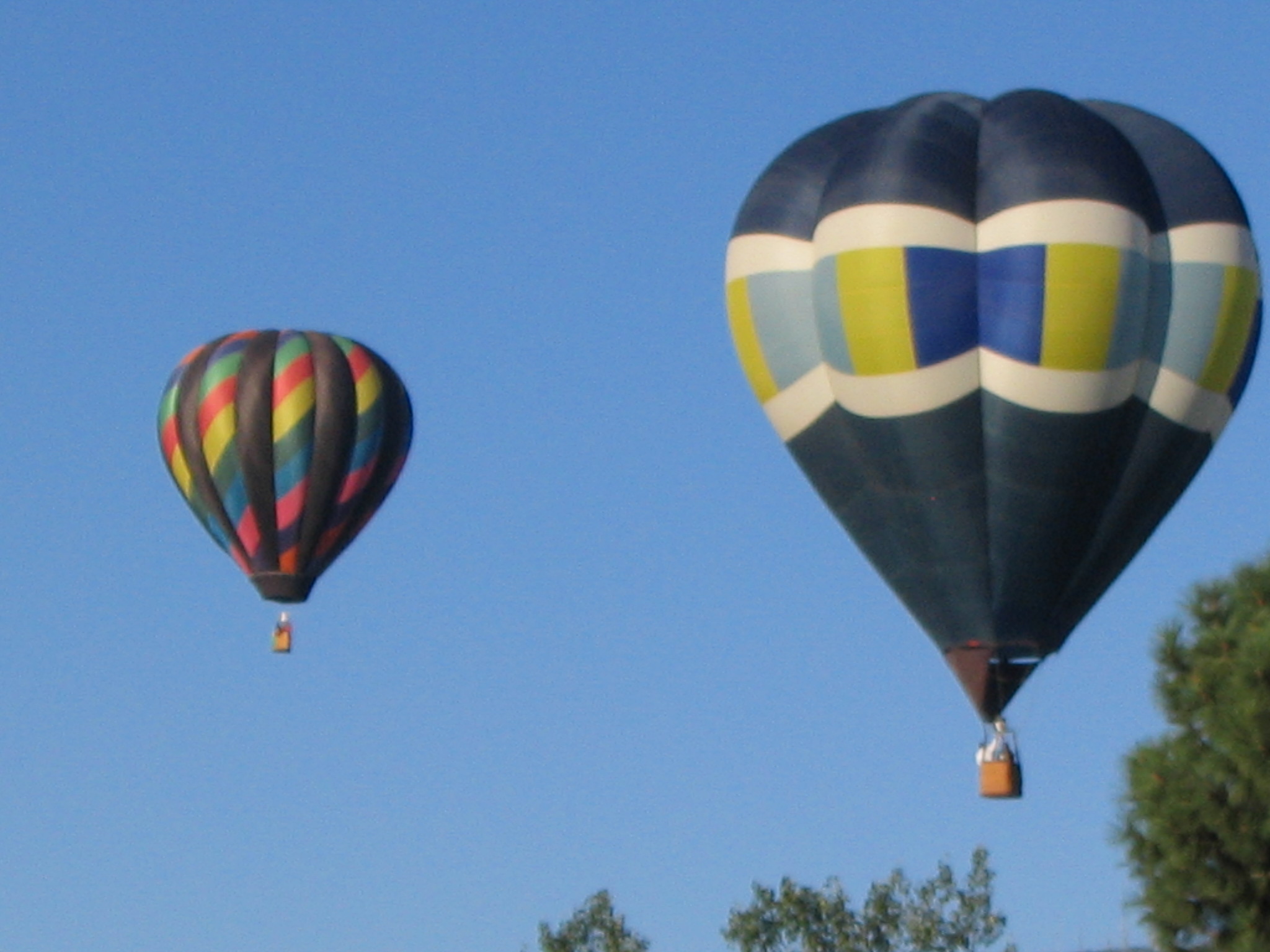 Hot Air Balloons Floating Above the Trees